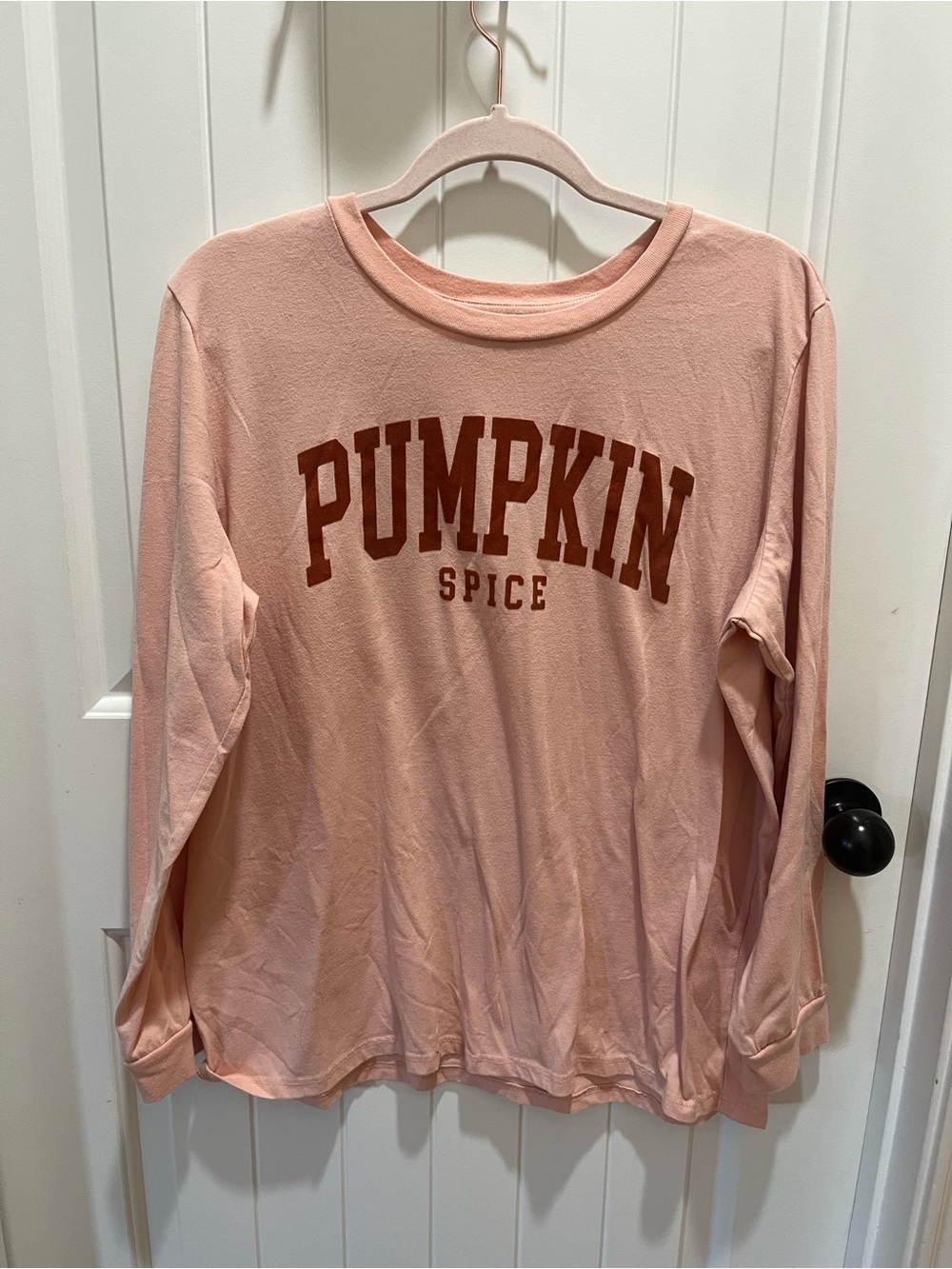 State of Mine Women's Pink Long Sleeve Pumpkin Spice T-Shirt - XL - Fall Vibes